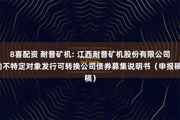 8喜配资 耐普矿机: 江西耐普矿机股份有限公司向不特定对象发行可转换公司债券募集说明书（申报稿）