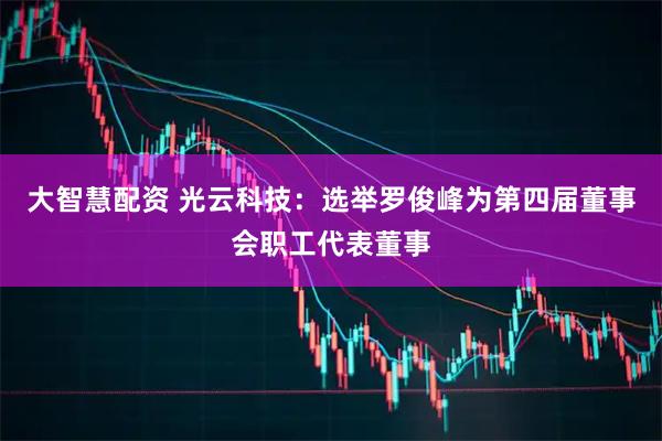 大智慧配资 光云科技：选举罗俊峰为第四届董事会职工代表董事